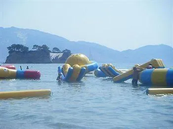 Turtle 2*