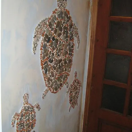 فندق Turtle 2*