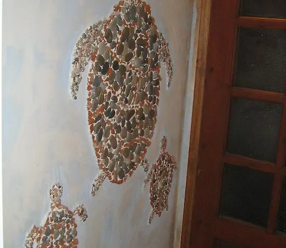 酒店 Turtle 2*