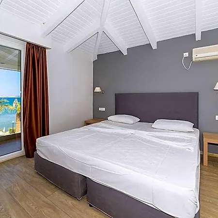 Hotel Turtle