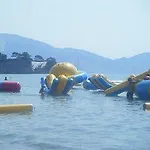 Turtle 2*